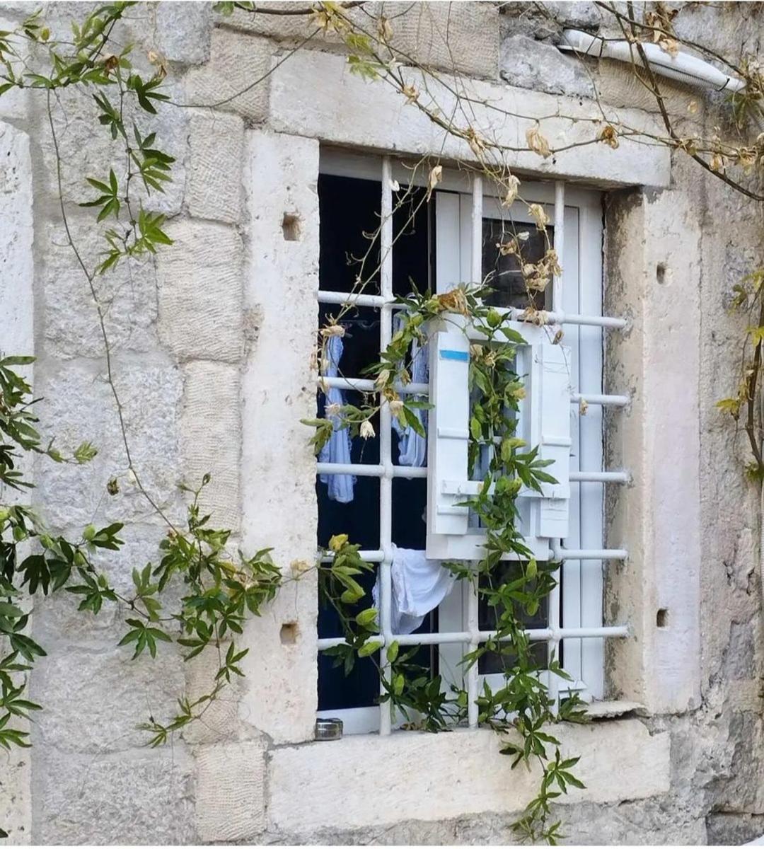 Apartments Visit Perast Exterior foto